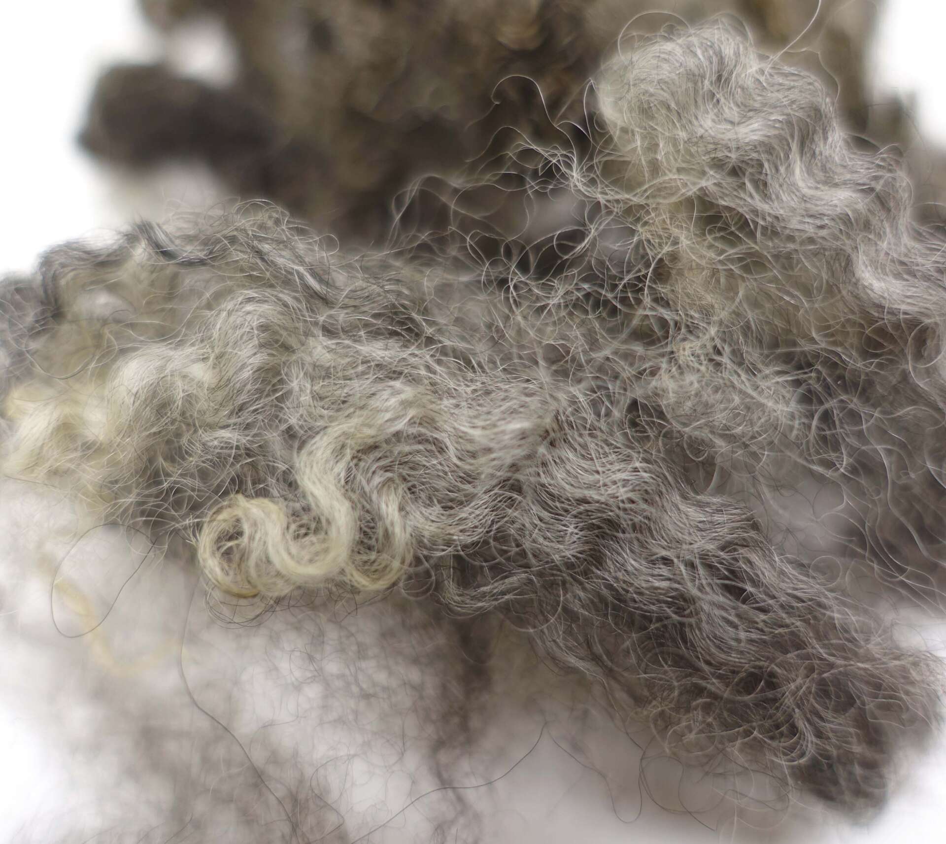 Samdal / Wool Tales