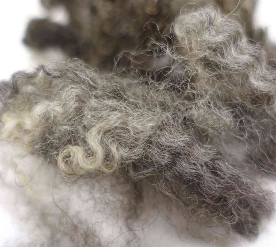 Samdal / Wool Tales